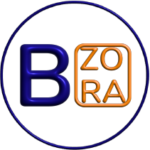bzora circle logo