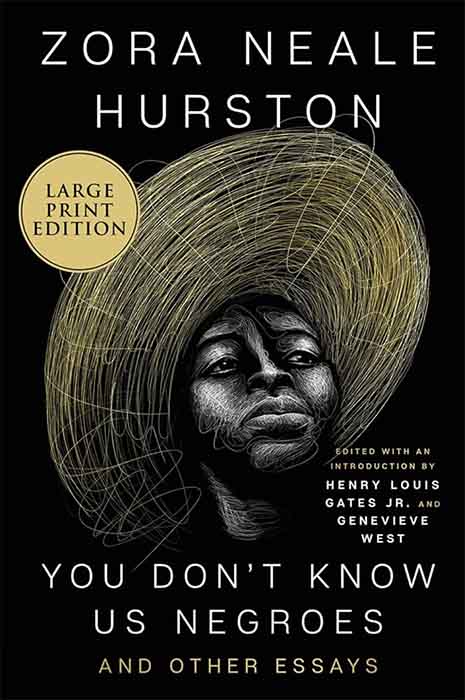 You don't know us negroes book cover